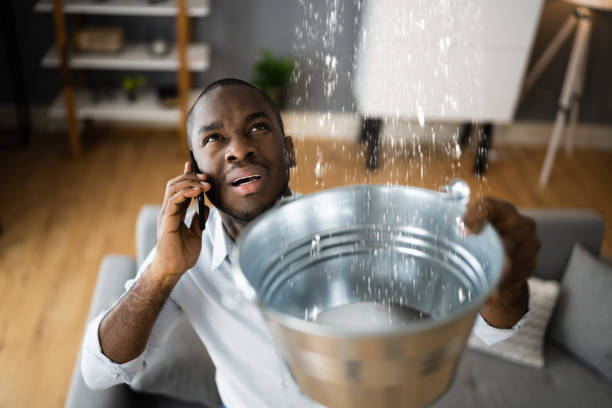 Best 24-hour water damage restoration  in Wilmington, NC