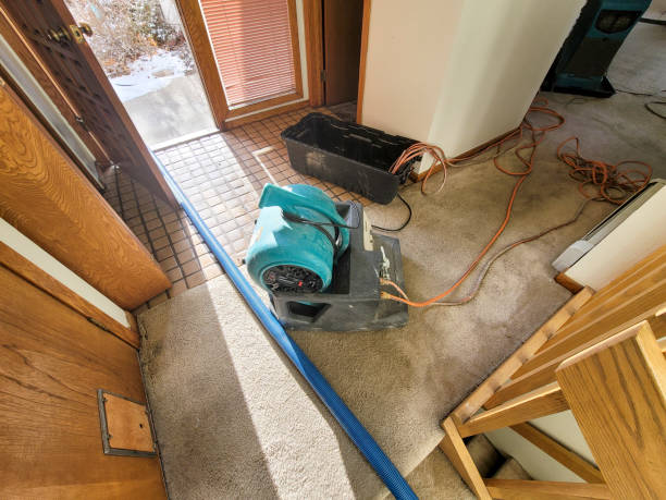 Best Fire Damage Restoration  in Wilmington, NC