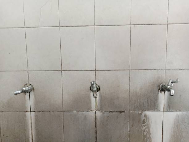 Best Carpet water damage restoration  in Wilmington, NC