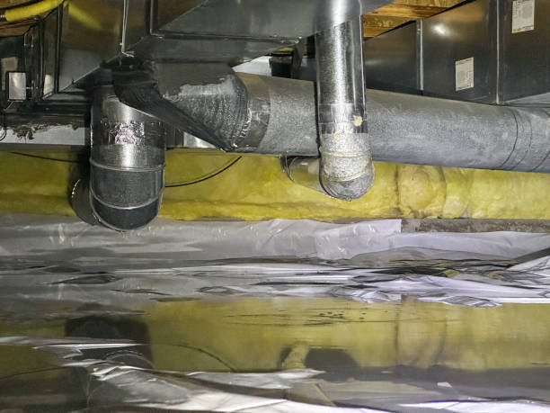 Best Flood restoration services  in Wilmington, NC