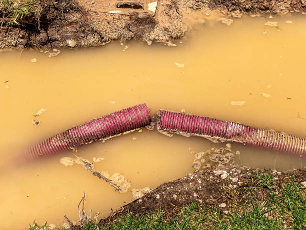 Best Professional water damage repair  in Wilmington, NC