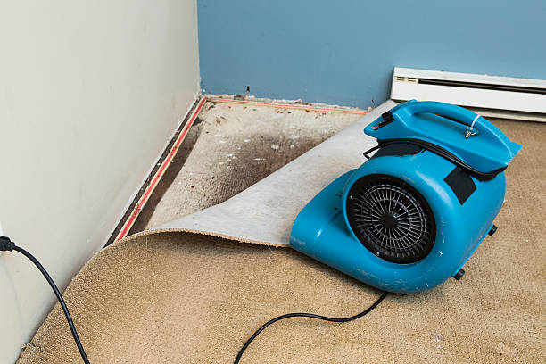 Best Commercial water damage restoration  in Wilmington, NC